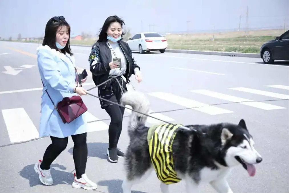 盘锦红海滩五一好玩的地方,盘锦最美红海滩网红打卡地