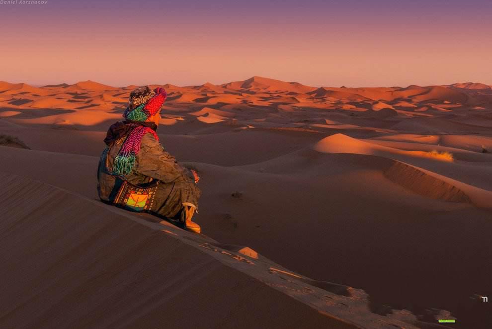 品金｜沙漠、骆驼，在这繁乱的当下如何拥有颗自由之心，你造吗？