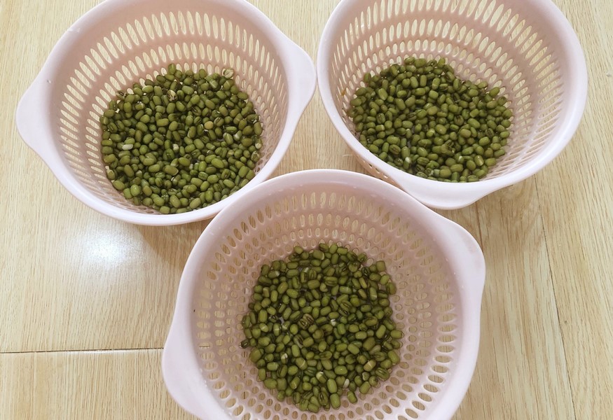 想吃豆芽自己生,想吃豆芽自己动手