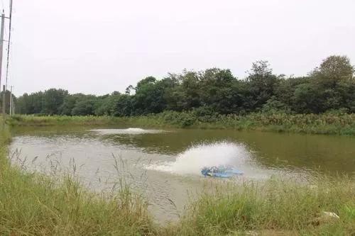 养虾新模式新技术,养虾致富有方