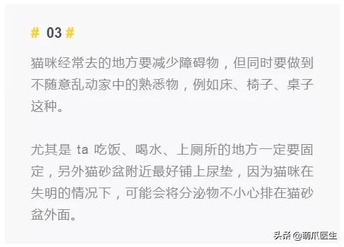 双目失明的猫咪好养吗,瞎了一只眼睛的猫能养吗