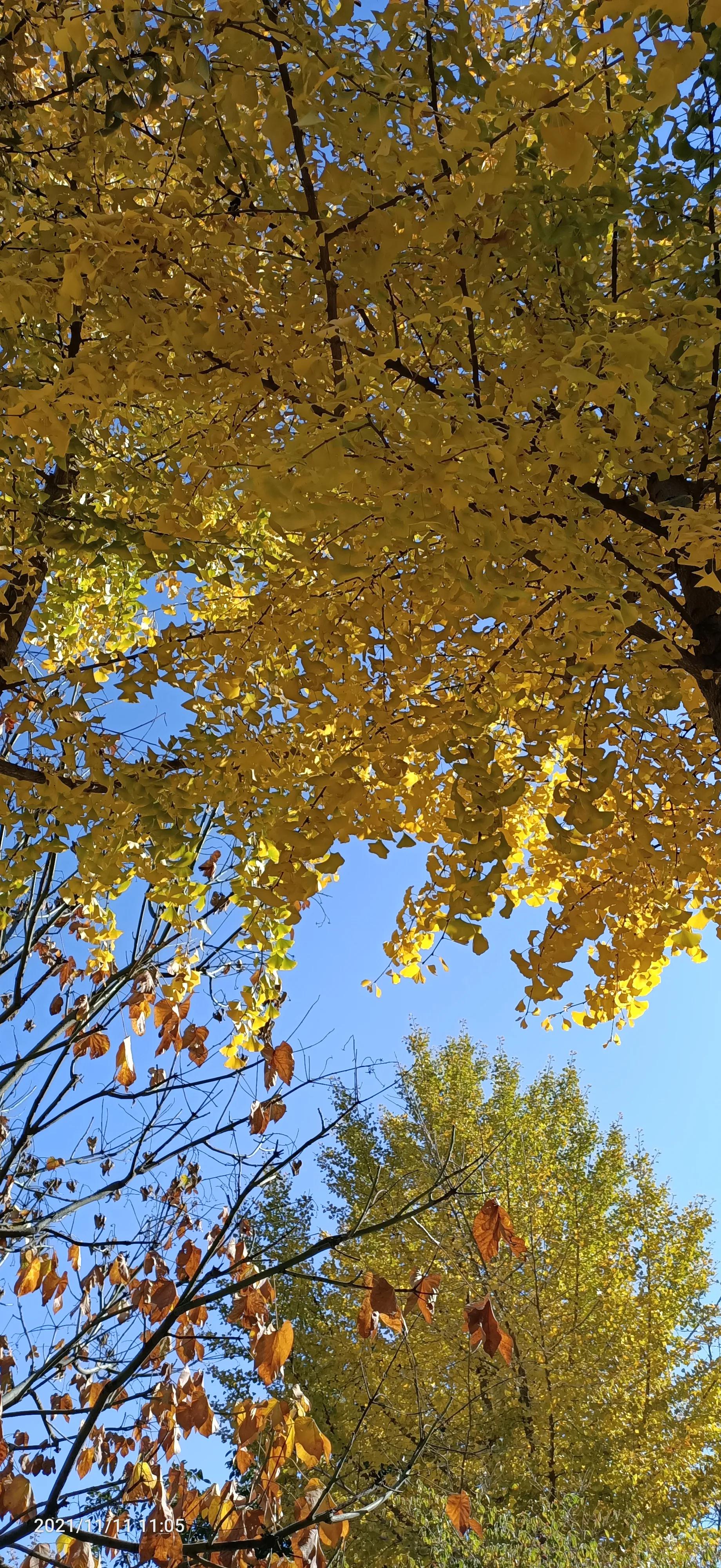 达则兼济天下穷则独善其身,达则兼济天下穷则独善其身素材