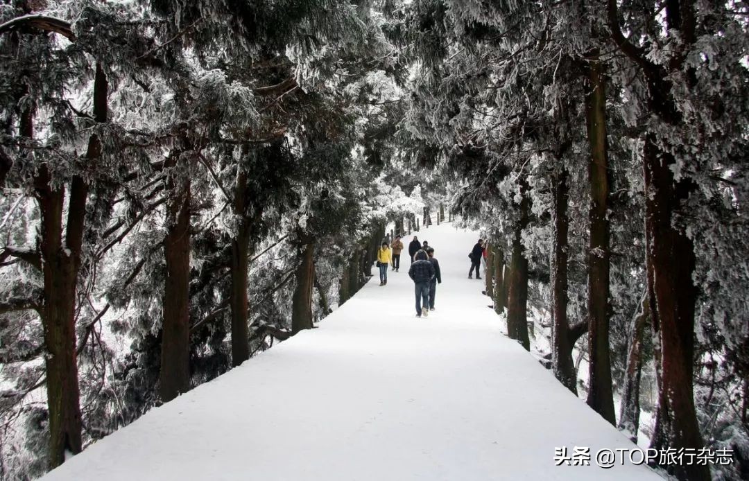 猝不及防,2020进度条已拉到50%!下半年最佳旅行时间表出炉,在最合适的时间去遇见对的风景吧