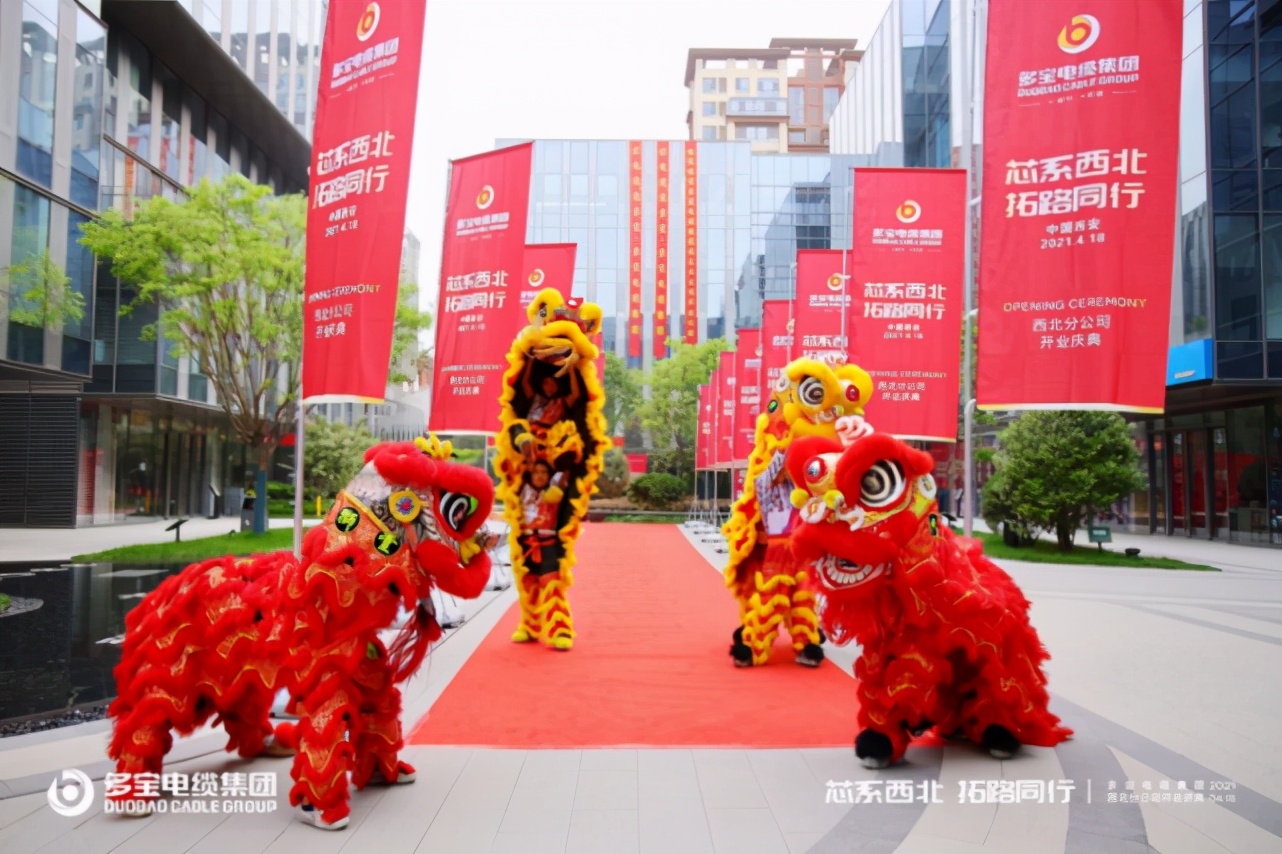 “芯系西北拓路同行”多宝电缆集团西北分公司盛大开业