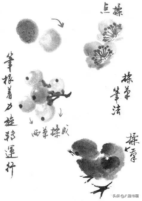 小写意花鸟画笔法,小写意花鸟画笔墨技法与创作