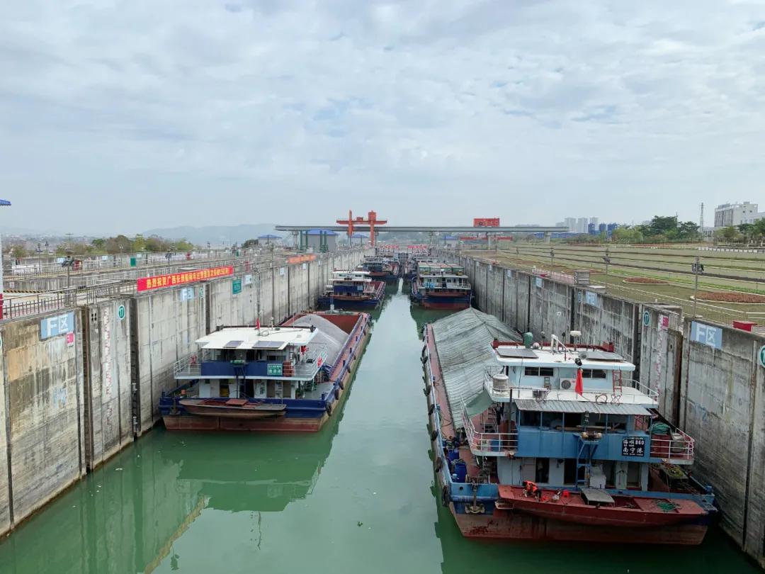 2022长洲水利枢纽船闸货运量,长洲船闸货运量提前突破亿吨大关