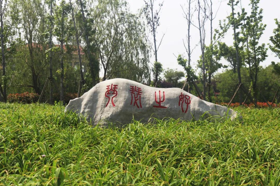 5.17遇见Ta在一起|这里有个不一样的脱单机会，速来~