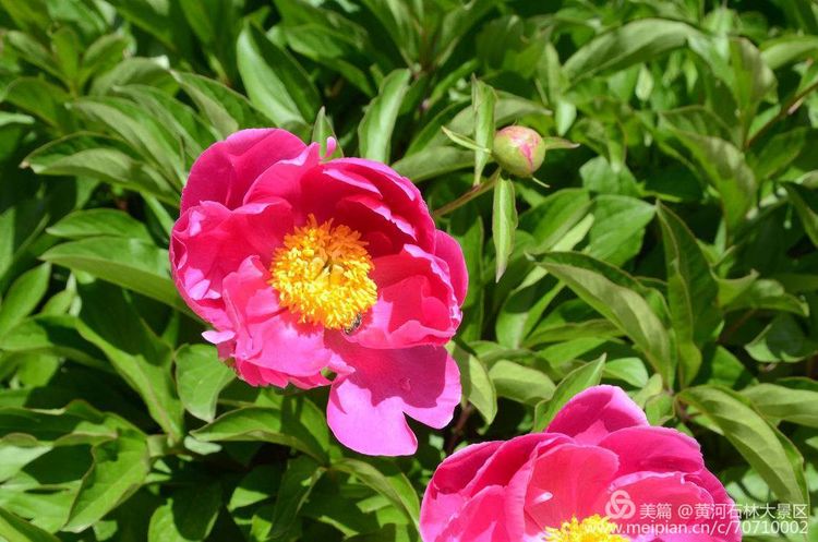 黄河石林最奇葩的景点,黄河石林美景图片