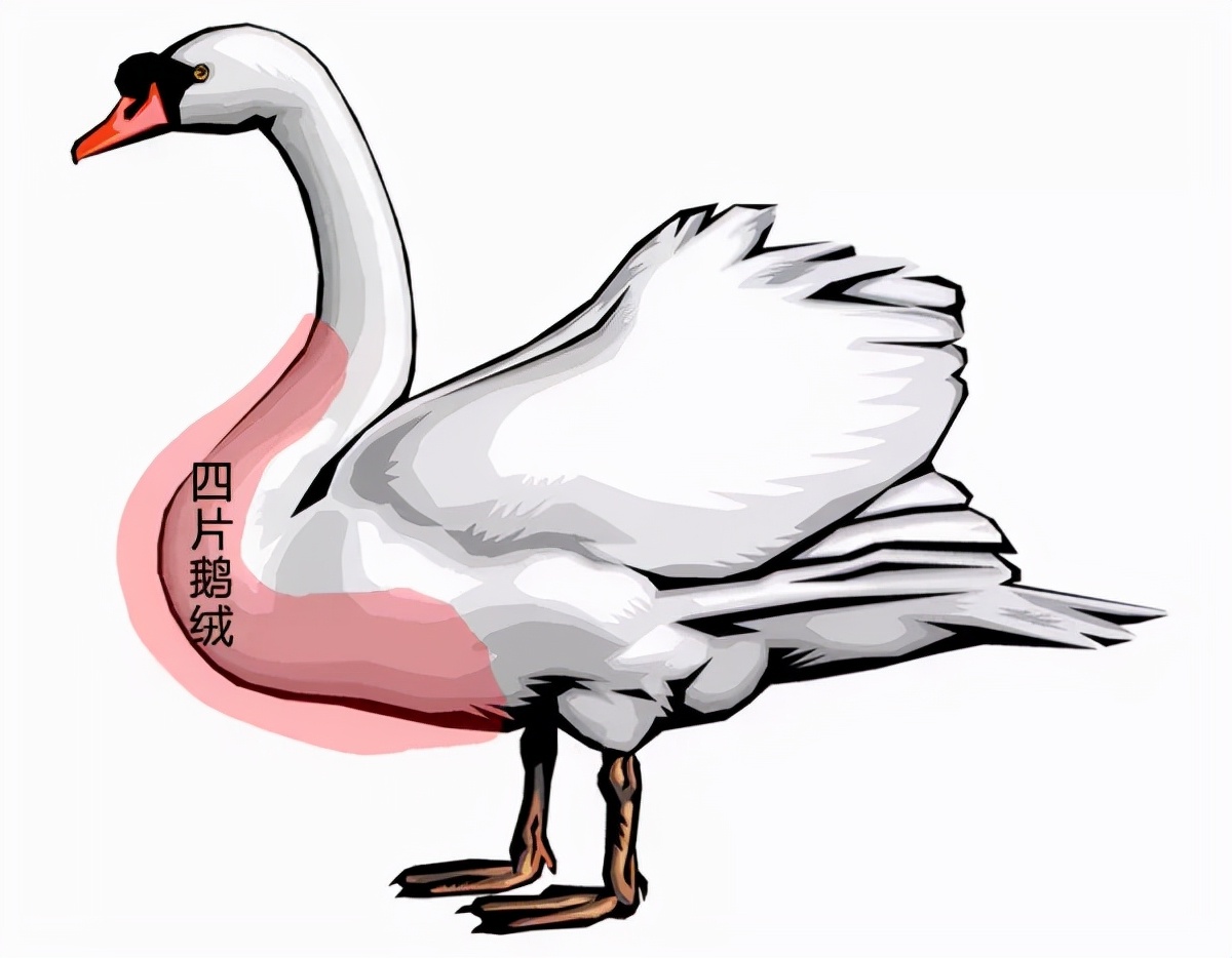 蒙口moncler羽绒服怎么样,moncler爱马仕