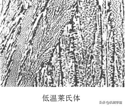 马氏体、奥氏体、珠光体，20种材料彩色金相，带你轻松识别