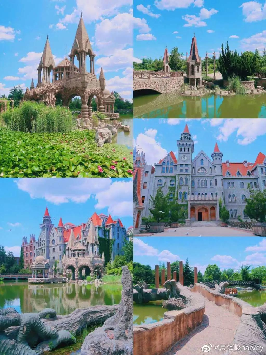 津南区打架,津南区打架视频