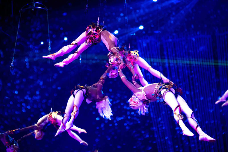 广州长隆野生动物世界旅游攻略,长隆野生动物世界攻略2-3天广州游