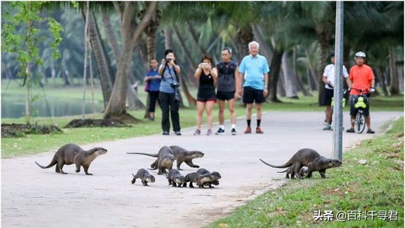 五月的最后一天是星期几,五月的第三个星期天是什么节日