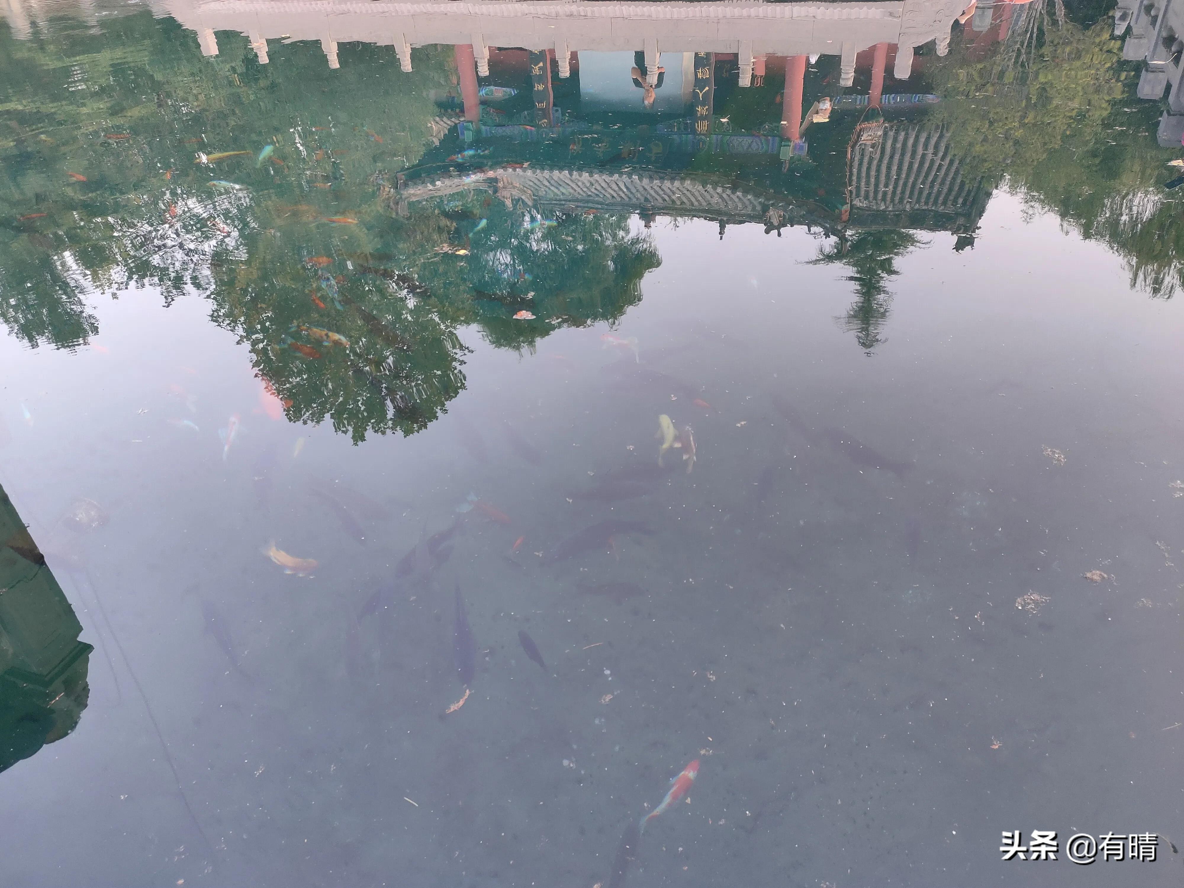 章丘景点百脉泉,七十二泉之章丘百脉泉