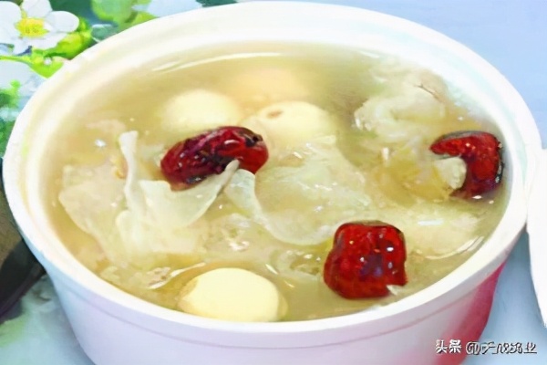 肉鸽养殖前景分析报告,云南肉鸽养殖前景