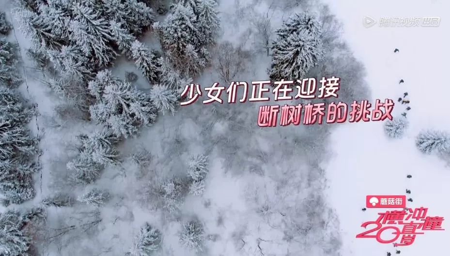 治安最好的欧洲国家,欧洲哪些国家治安好