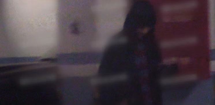 吴昕和郑凯同行,吴昕郑凯恋情疑曝光