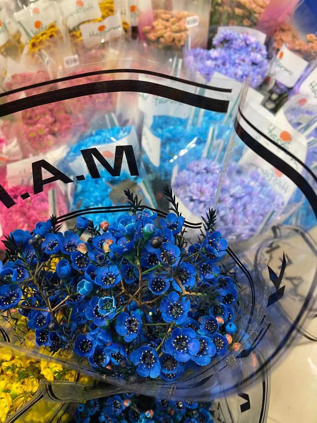 实拍青岛花卉市场！你每年都会选购哪些品种的年宵花呢？