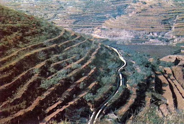 农业学大寨大寨村现况,农业学大寨指的是哪个大寨村