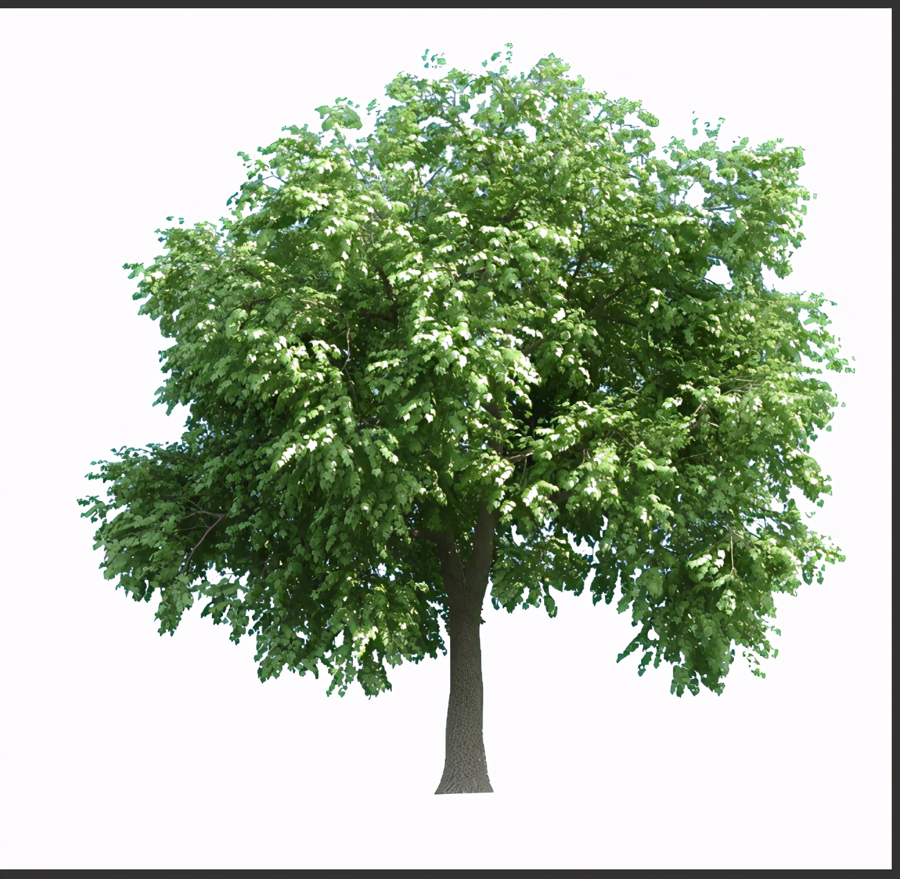 通道头发抠图方法和技巧,ps怎么利用通道抠图章