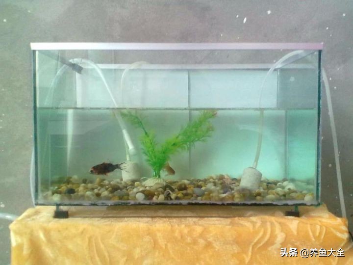 我要离婚老婆不同意,我要离婚老婆也要离婚