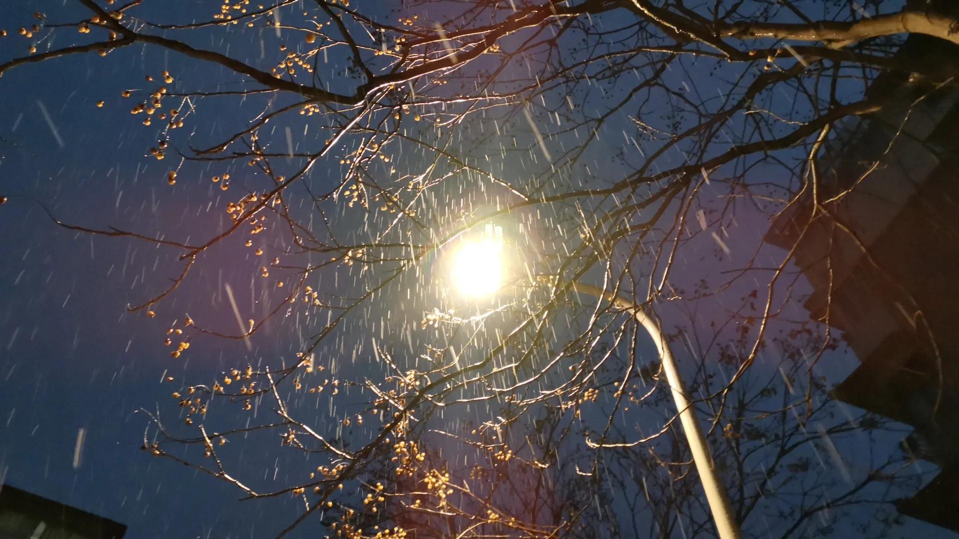 情感︱写给感伤的阿勇，2020，我们可以再见了！