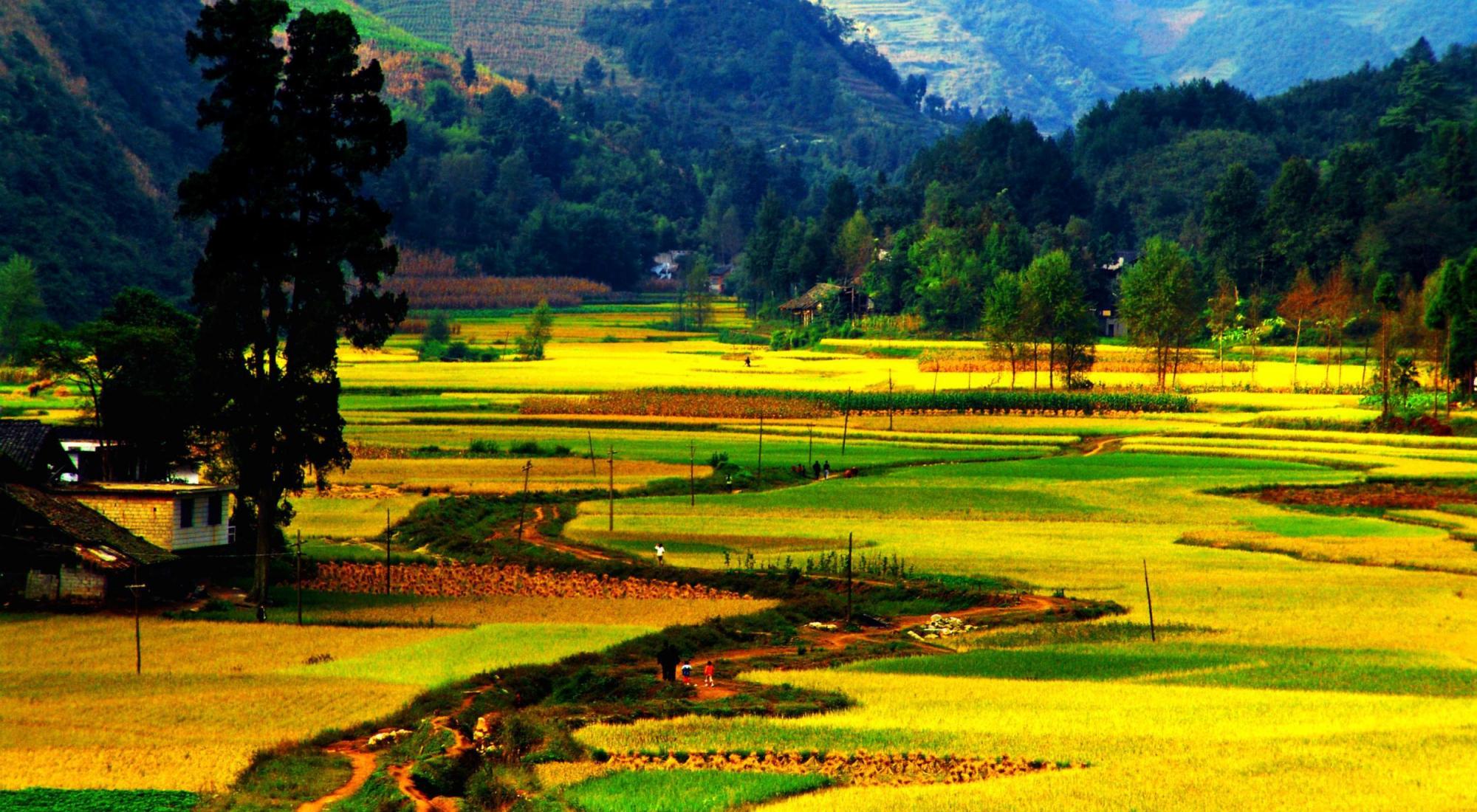 贵州深山发现神秘基地已废弃多年,贵州神秘军事禁区