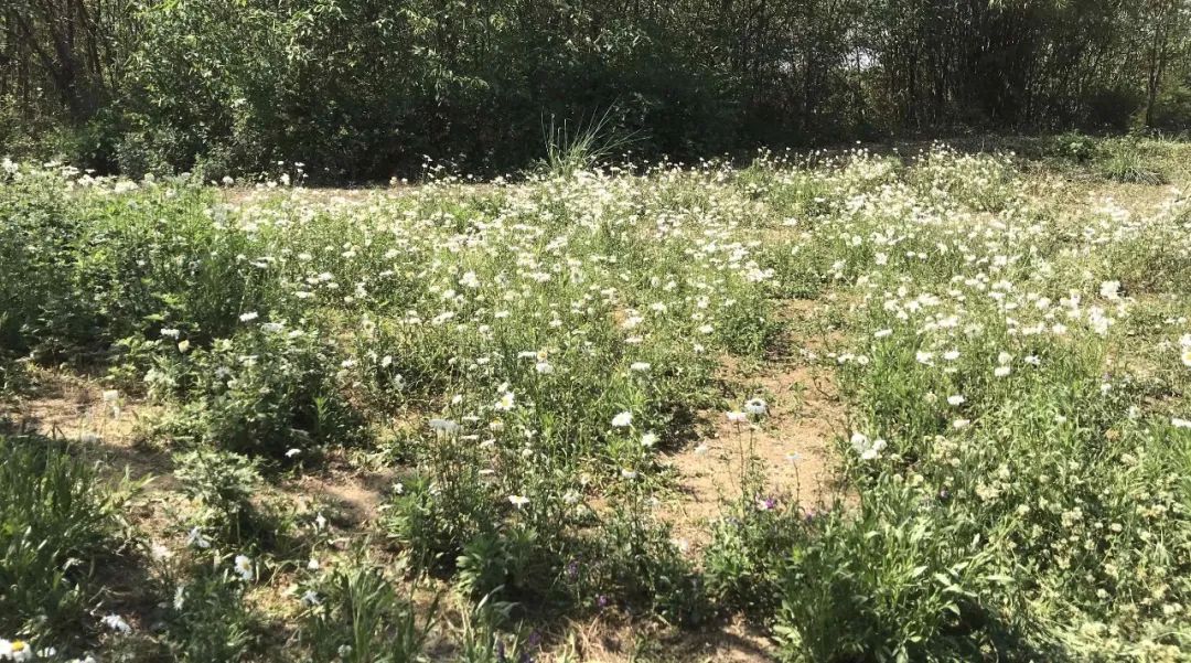 一招轻松拍出电影感的照片,一张照片教你拍出大片的感觉