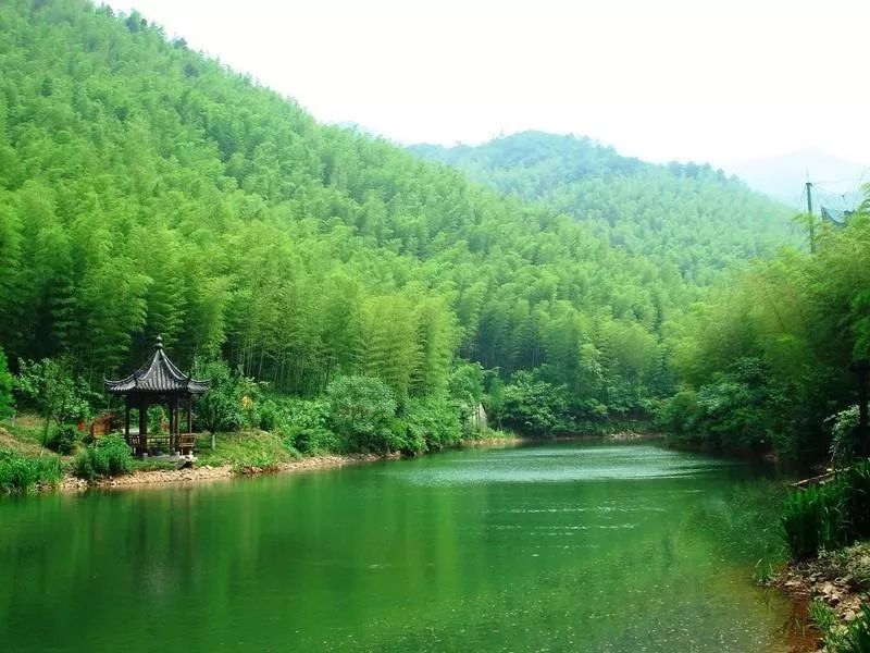 中国醉美云和梯田,中国醉美梯田景观