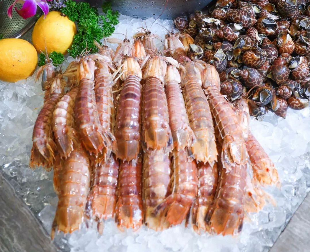 深圳万德诺富特酒店附近美食,深圳万德诺富特酒店离宝安多远