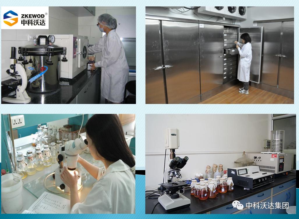 益力健枯草芽孢杆菌,益力健牛羊专用中成药