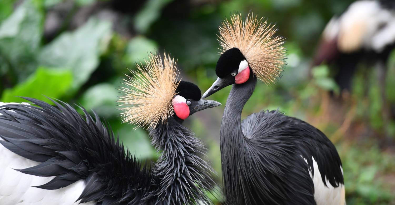 春节广州周边温泉游攻略,自由行广州温泉旅游攻略