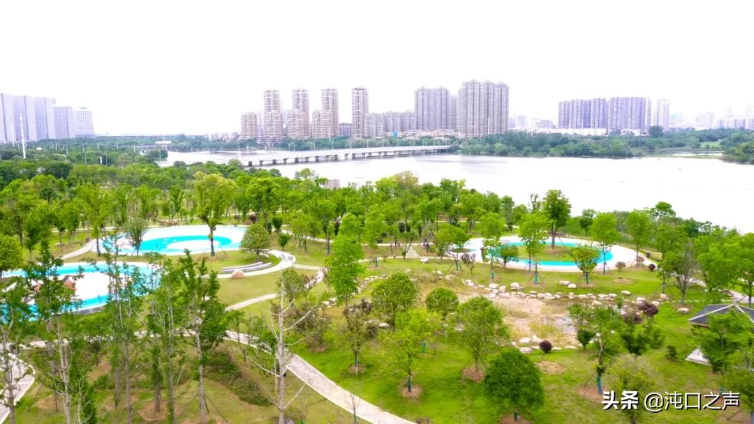 沌口南太子湖绿道,沌口绿道在哪里