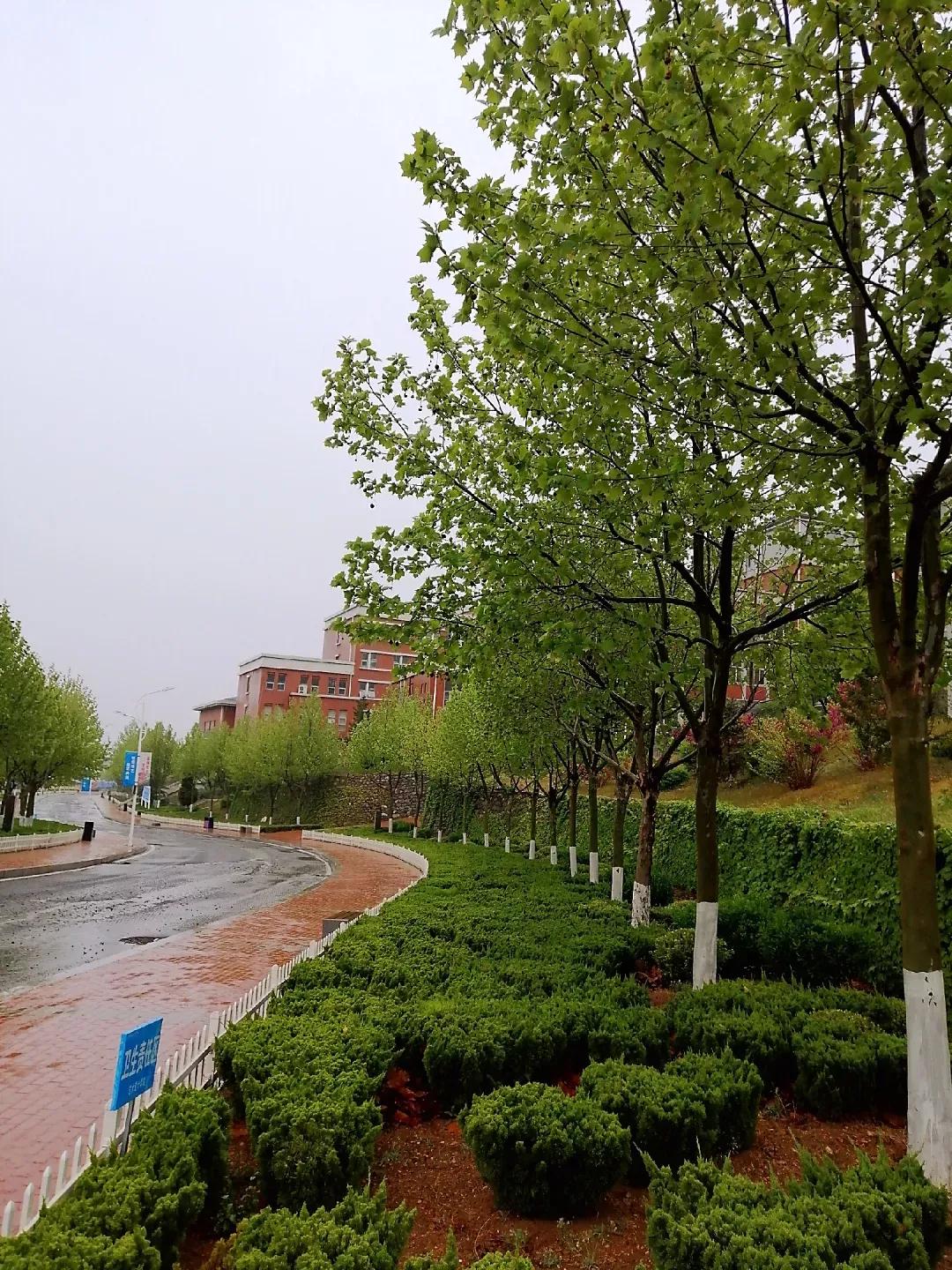 民办学校大连艺术学院全国排名,大连艺术学院辽宁排名