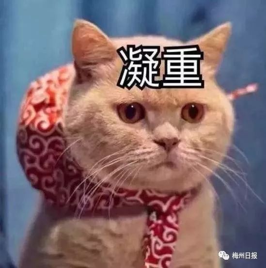 大批假月饼被曝光！广东人爱买的“美心”“荣华”“广州酒家”都中招