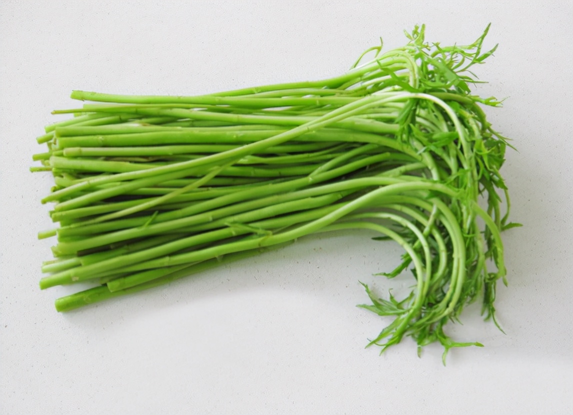 藜蒿和艾草一样吗,长得像艾草的藜蒿