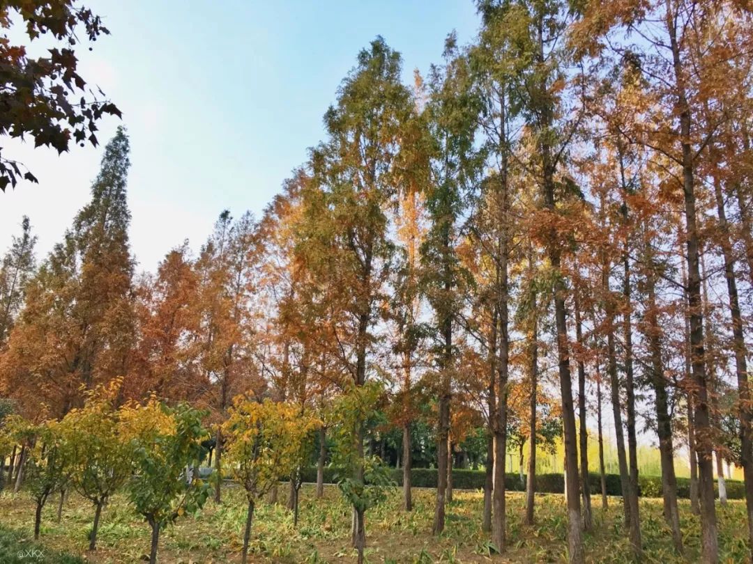 致敬郑州北龙湖,郑州暴雨感人瞬间致敬子弟兵