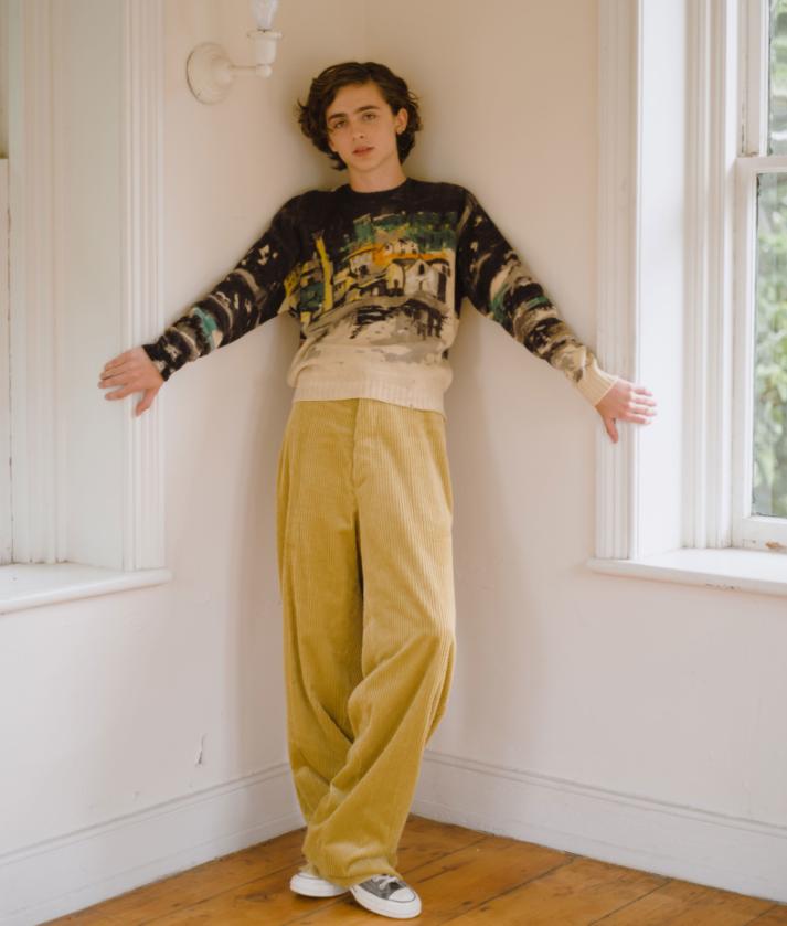 最会穿衣服的10位男星,最会穿的小男孩