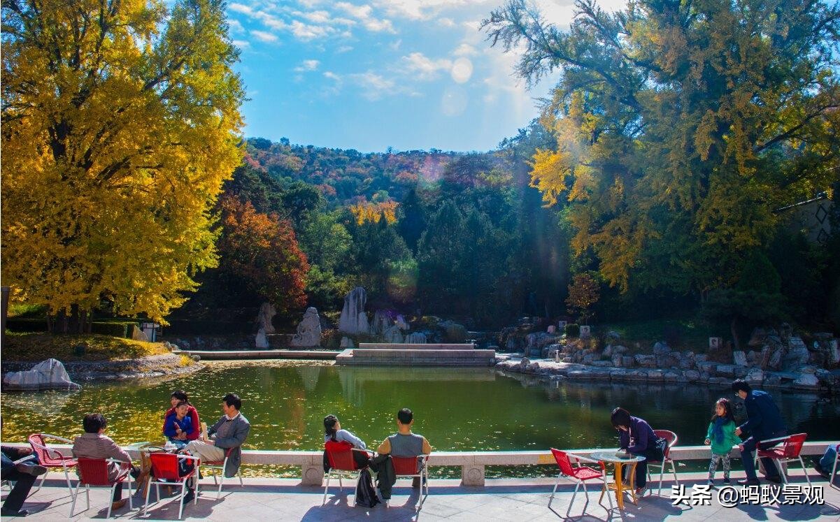 香山饭店四绝十八景是什么,香山饭店的游记