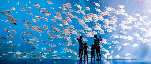 珠海长隆海洋王国一天可以玩完吗,珠海长隆海洋王国乘高铁哪个站近