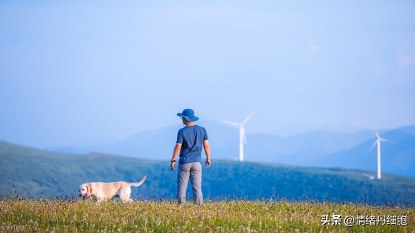 门头沟避暑景点推荐,柳树沟自然风景区旅游攻略