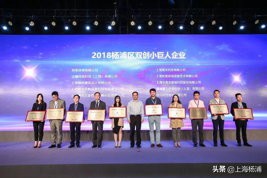 后来的TA们都怎样了？又一批企业获颁杨浦这个称号！