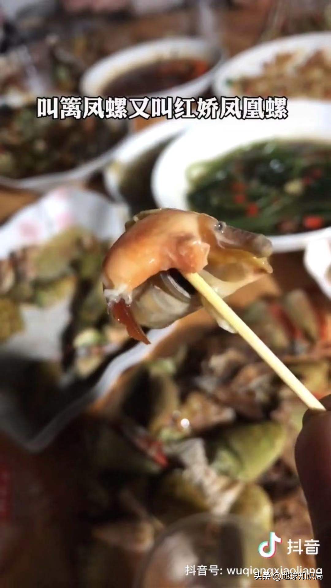 全球旅行攻略干货,全球旅行不为人知的秘密