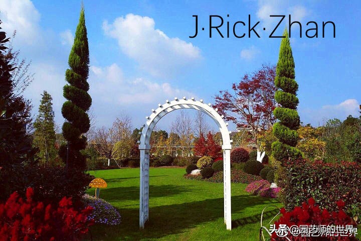 怎么种植草坪不长杂草,如何养好草坪