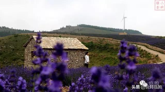 临朐一座温暖的小城市,临朐一座美丽的小城
