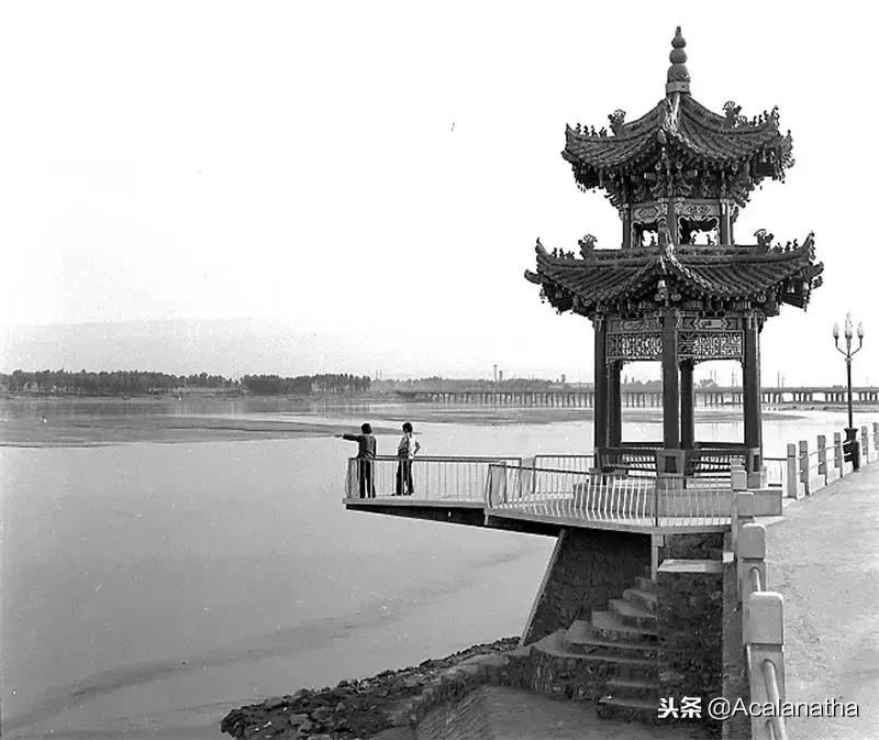 关于咸阳湖的资料,咸阳湖为啥叫咸阳湖