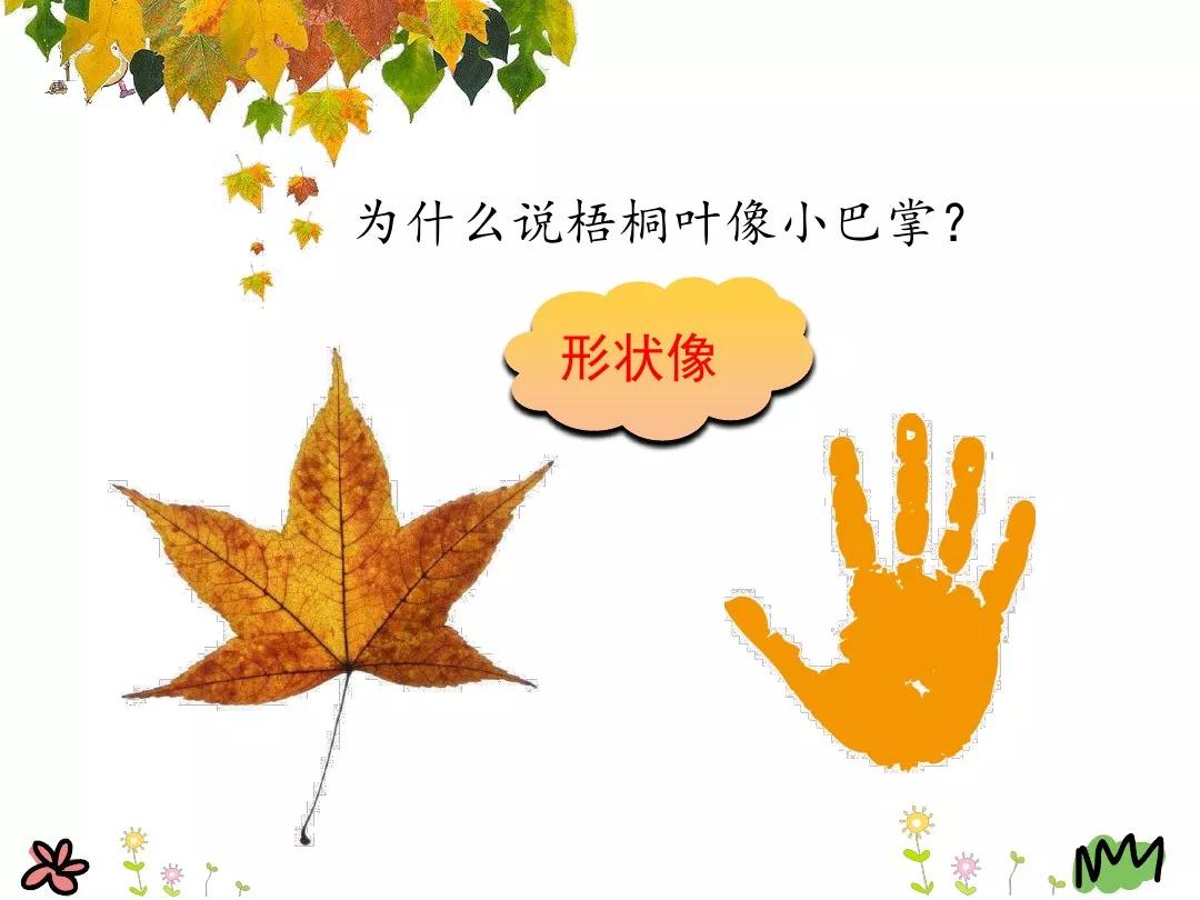 小学部编版三年级上册语文5课,三年级上册语文第5课水泥道朗读