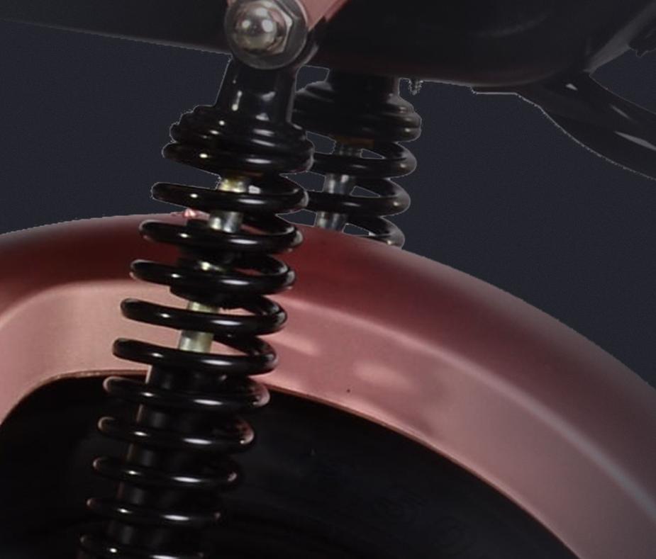 新国标有脚蹬的电动车,有新国标台铃电动车