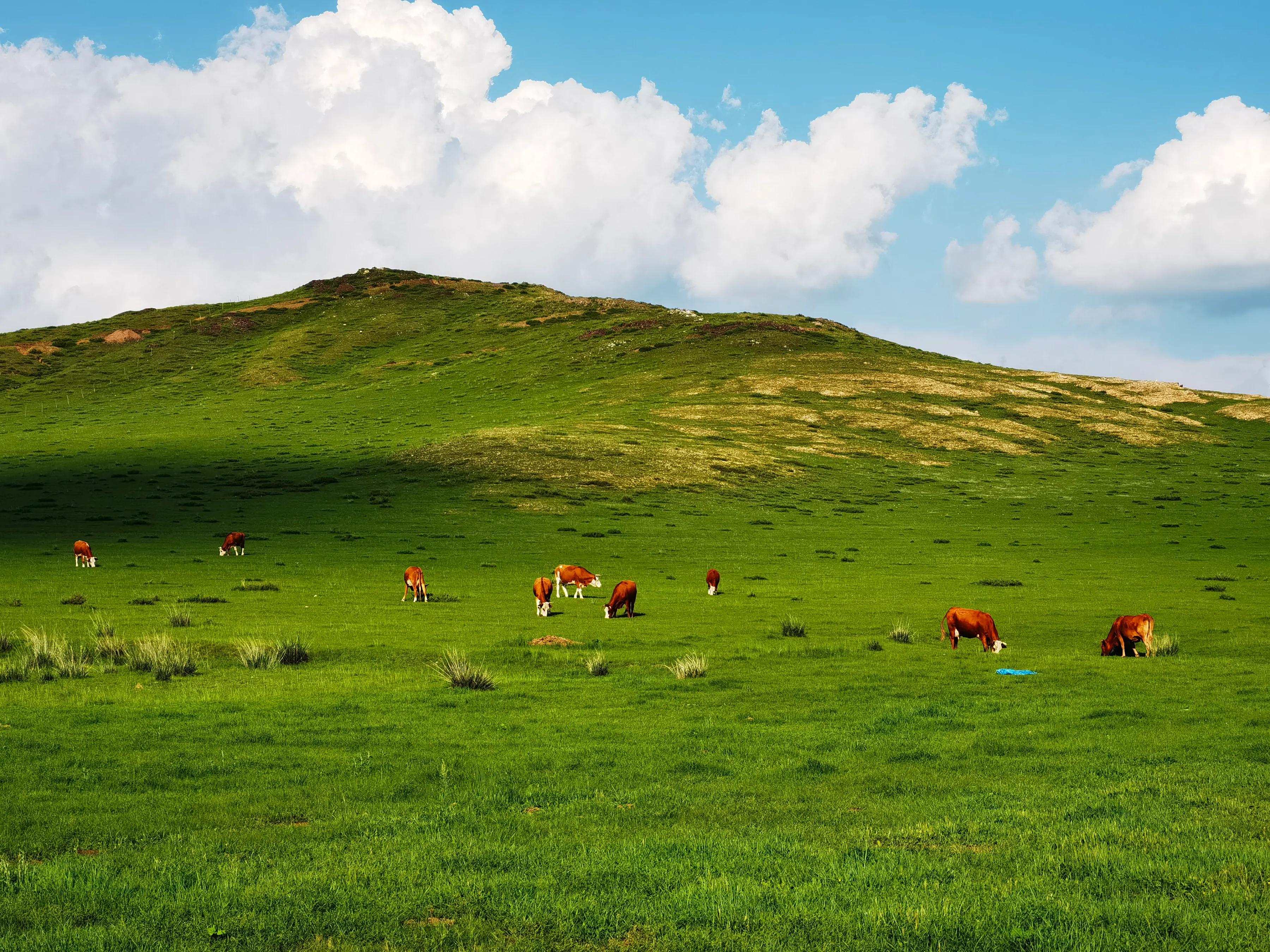 手机摄影手册圈友作品选第7期,手机摄影手册圈友作品选第6期