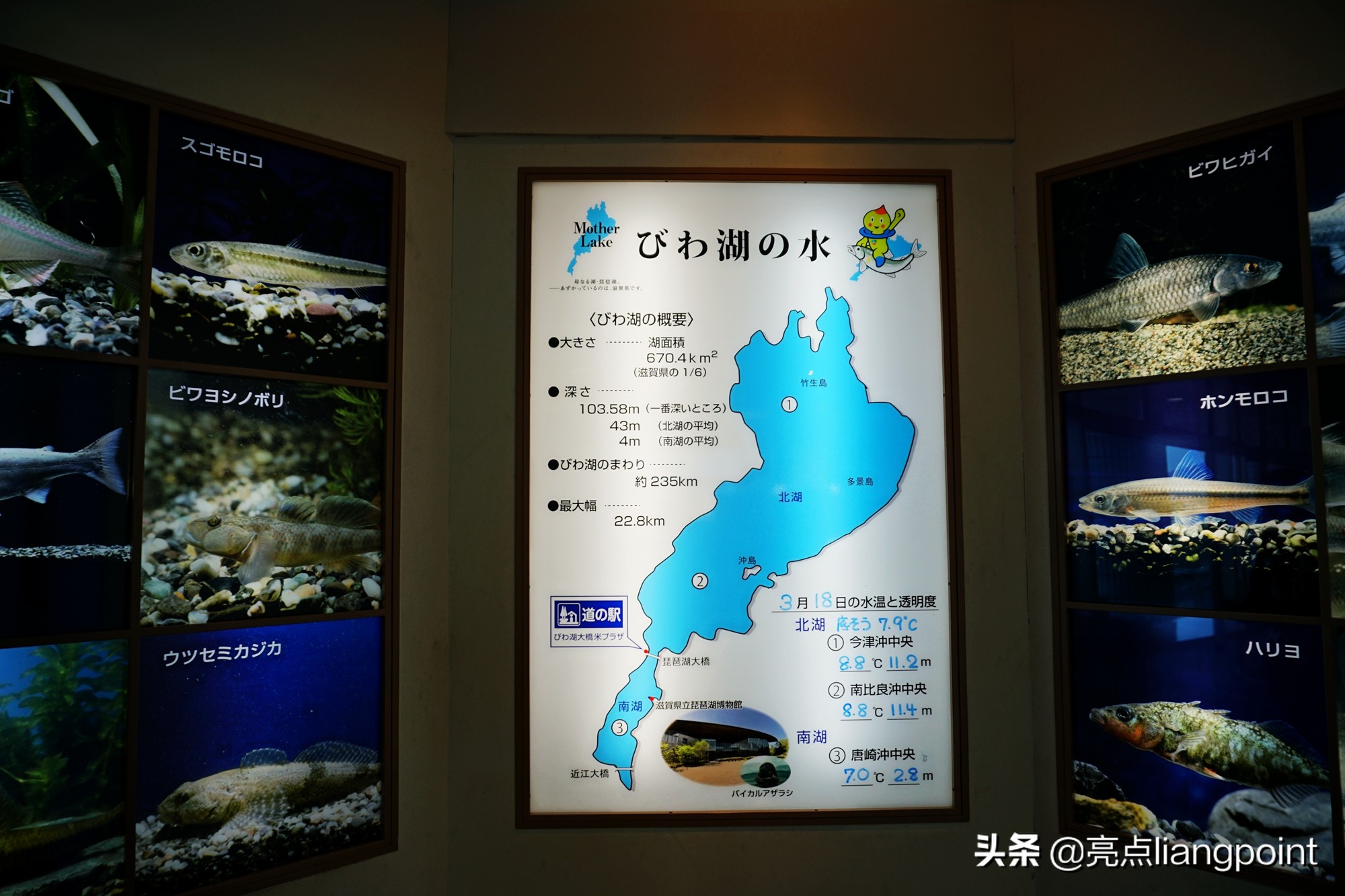 日本最大的湖琵琶湖图片,日本琵琶湖最大的地方